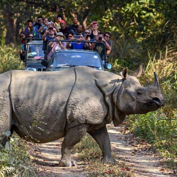 Chitwan