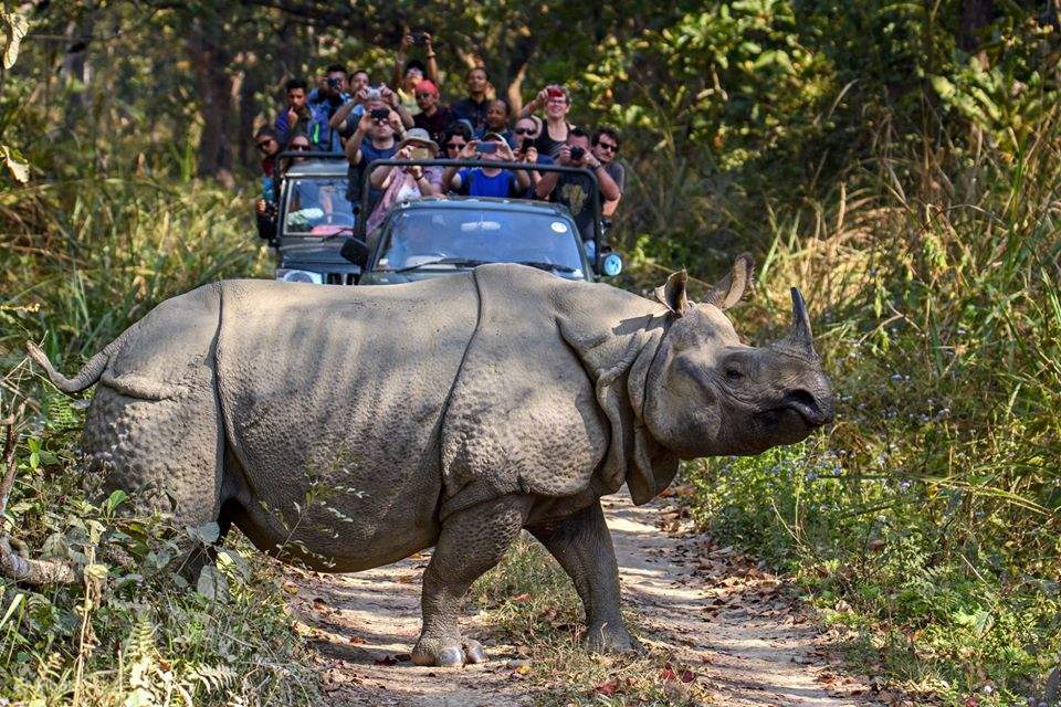 Chitwan